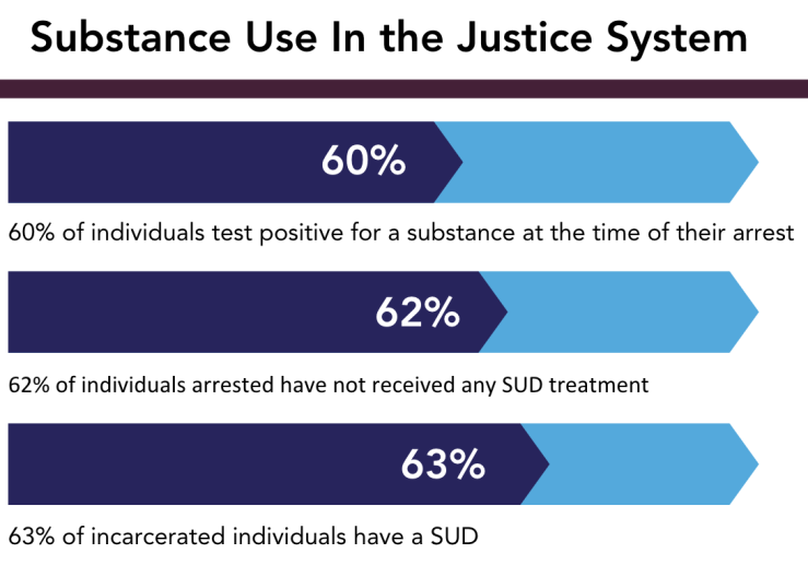 Substance Use in the Justice System
