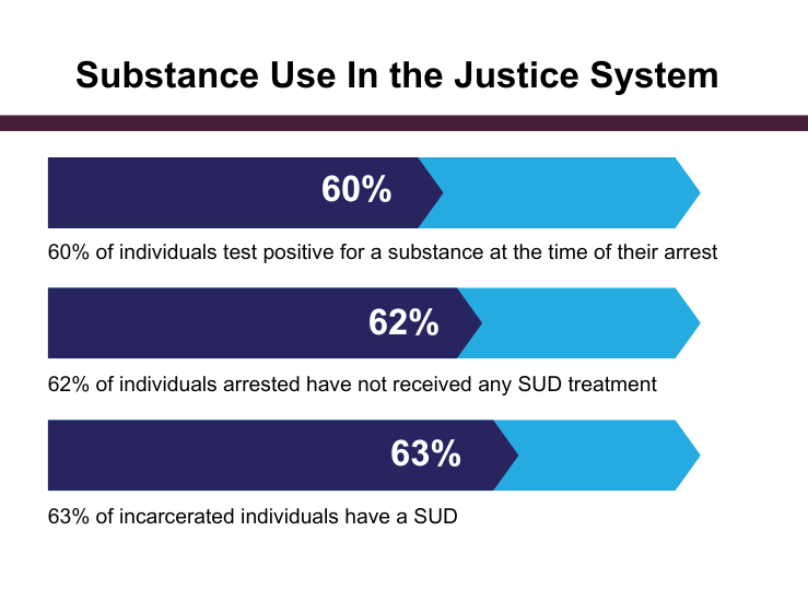 Substance Use in the Justice System